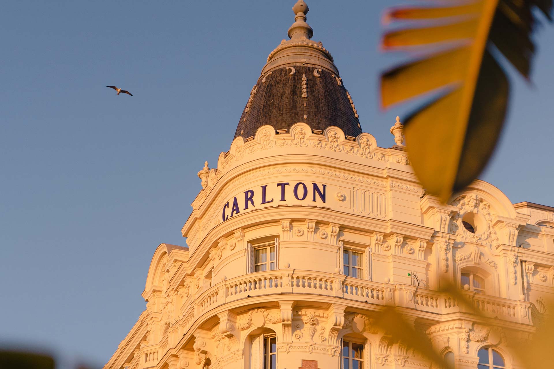 Hôtel Carlton Cannes © Amaury Laparra